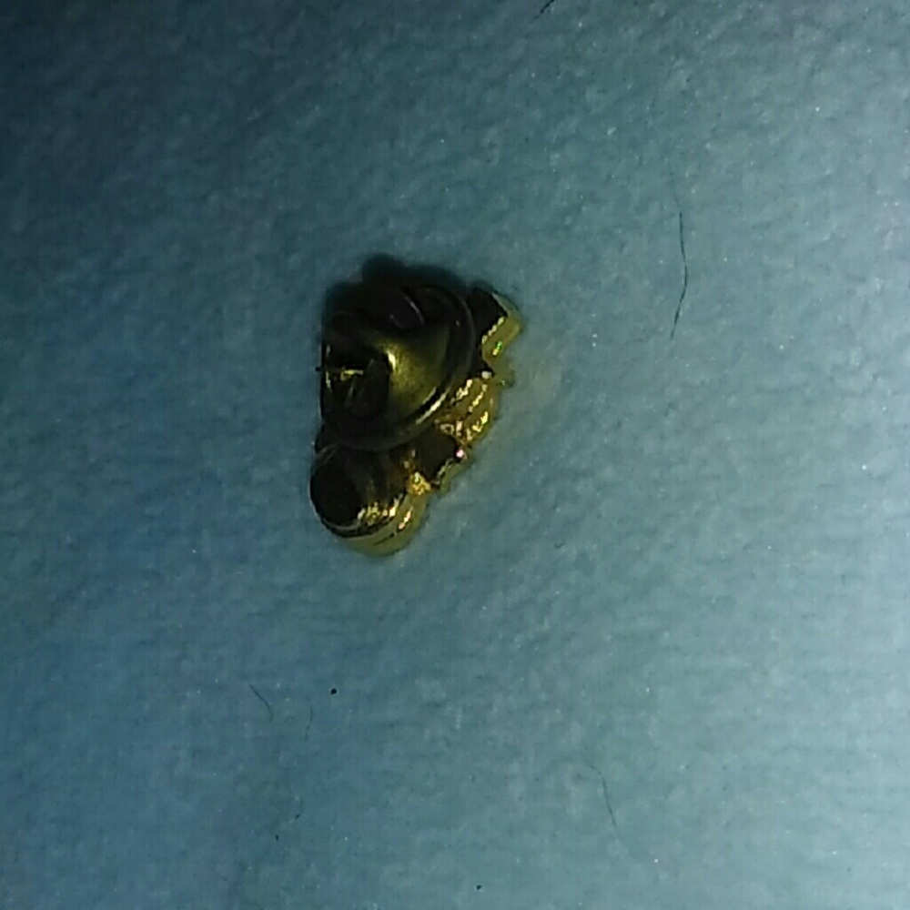 Clip - Picture 2 of 2